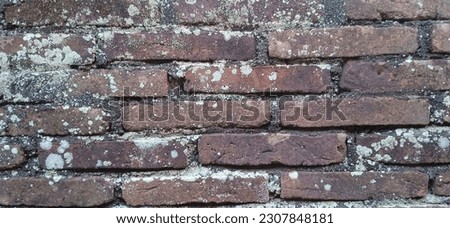 brick wall of an old house building
