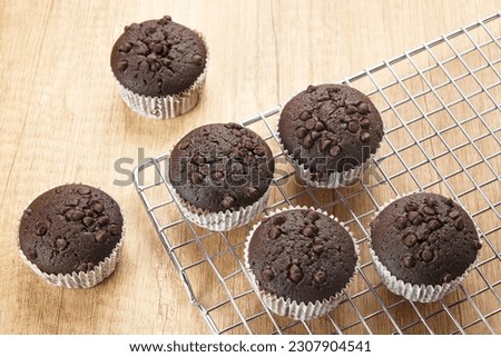Delicious Chocolate Muffins with choco chips
