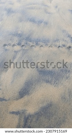 Sand on the beach after the waves come
