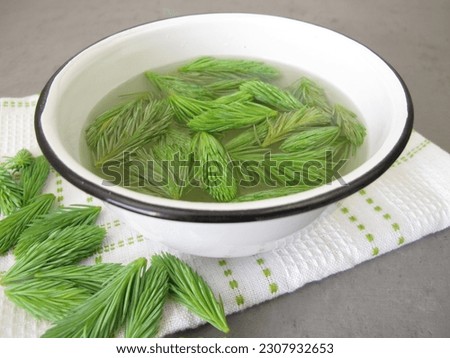 Bath additive with young spruce tips Royalty-Free Stock Photo #2307932653