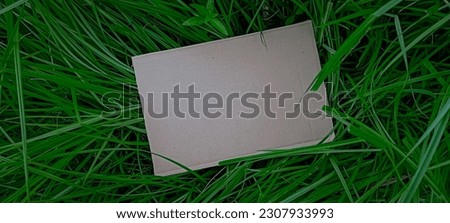 Natural template background in green environment. Collection of greeting cards. Background templates.

