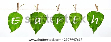 word earth on green tree leaves isolate, earth day, zero waste and ecology concept