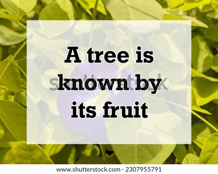 A english proverb Quote text with background. a tree is known by its fruit