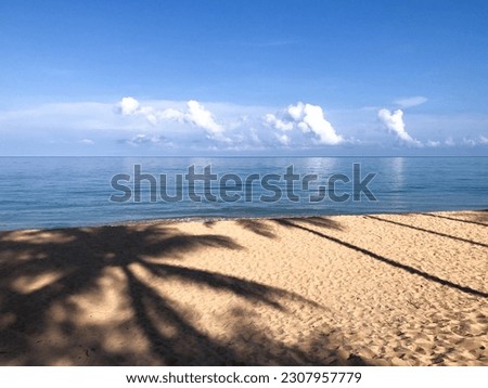 Coconut shadow beach summer blue sky