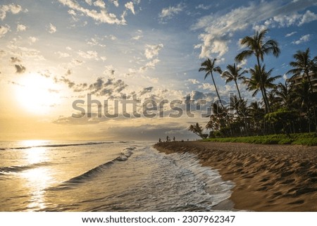scenery at kaanapali beach in maui island, hawaii Royalty-Free Stock Photo #2307962347