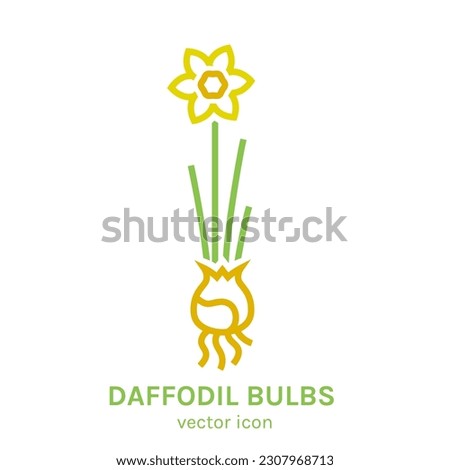 Narcissus poeticus. Outline element for logotype, symbol, insignia design. Botanical collection. Editable vector illustration isolated on a transparent background. Royalty-Free Stock Photo #2307968713