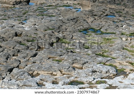 Craggy rocks on the beach in Porthcawl, Wales. Rocks worn away by the sea. Royalty-Free Stock Photo #2307974867