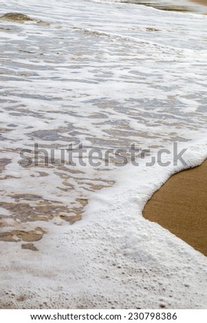 Sea wave on the summer sandy beach 