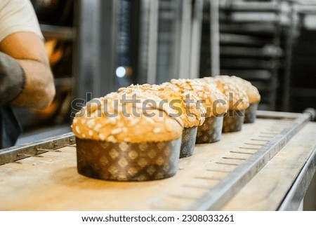 pastry baker artisan baking small group of italian panettone sweet bread typical for christmas time, traditional recipe from milano, Italy. Royalty-Free Stock Photo #2308033261