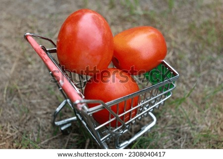 Fresh red tomatoes in shopping cart outdoors in the park.    