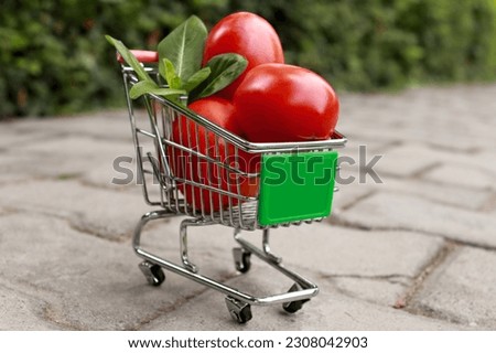 Fresh red tomatoes in shopping basket outdoors in the park.    