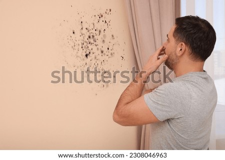 Shocked man looking at affected with mold wall in room Royalty-Free Stock Photo #2308046963