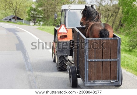 Horse Trailer for Transportation in Countryside. Tractor Pulls Horse Van with Brown Horse on Road of Village.