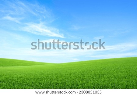 Landscape view of green grass field with blue skybackground. Royalty-Free Stock Photo #2308051035