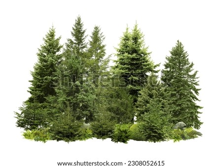 Different green trees and plants on white background Royalty-Free Stock Photo #2308052615