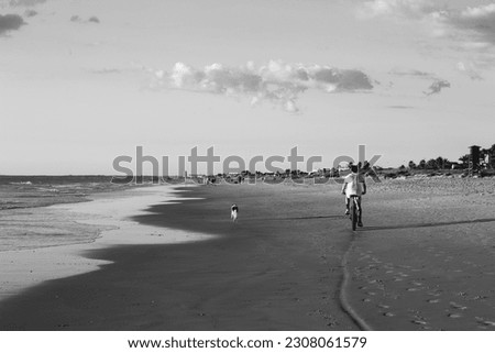 Riding a bicycle on the beach, or taking a walk with your dog while you are riding a bike. In the south of Spain, Cadiz, with a beautiful sunset even if it’s black and white.