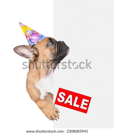 French bulldog puppy wearing party cap shows signboard with labeled "sale" from behind empty white banner and looks away on empty space. isolated on white background