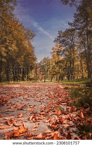 09.10.2022. Kragujevac, Serbia. Central city Park in the City during autumn season