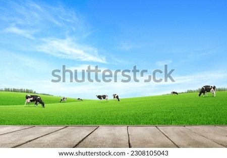 Empty wooden table top with grass field and cows background. Royalty-Free Stock Photo #2308105043