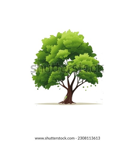 Set of flat stylized trees. Natural vector illustration. Side view