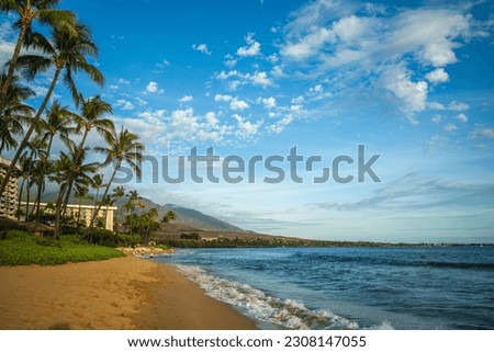 scenery at kaanapali beach in maui island, hawaii Royalty-Free Stock Photo #2308147055