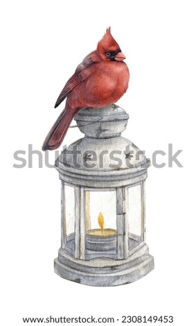 Christmas composition with a white vintage lantern.Watercolor winter card with a lantern and red Northern Cardinal bird, isolated on white background.Winter holiday