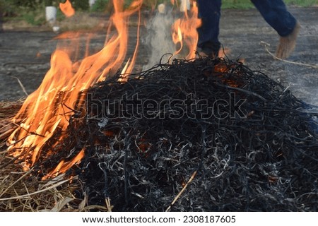 selective focus, narrow depth of field, fire in the process of burning, red, orange and yellow, Heat energy tightly stacked, heat energy at fuel point.