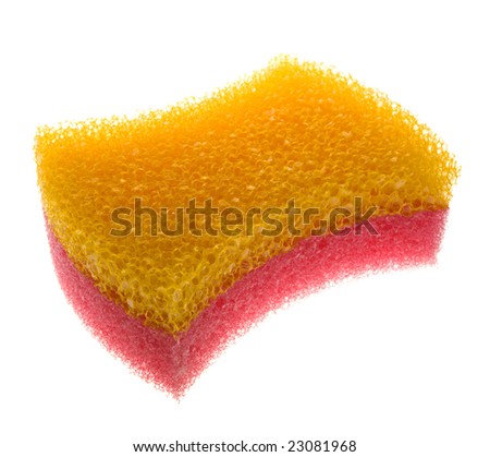 sponge isolated on white background