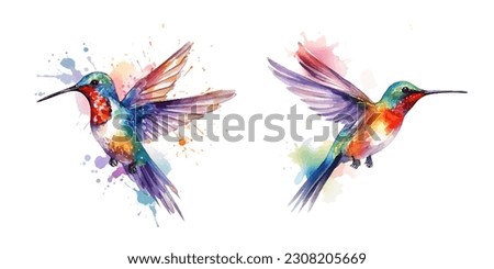 flying hummingbird or colibri bird watercolor hand paint vector set art Royalty-Free Stock Photo #2308205669
