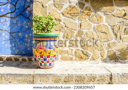 Picturesque colored pot with plants and sand color wall