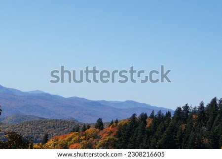 Blue ridge mountains in the fall
