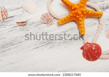 Abstract gray nautical background with starfish, shells and rope