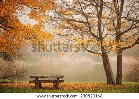 Bench autum park and lake Royalty-Free Stock Photo #230823166