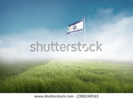 Israel national flag with fog