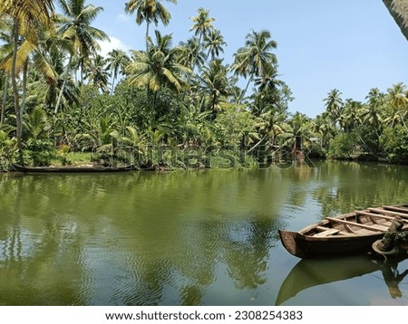 A boat docked in a river in Kerala
