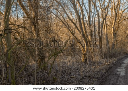 photos of nature around Liptov
landscape photography
sun rays