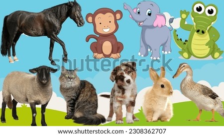 familiar animals : horse, monkey, elephant, crocodile, duck, rabbit, dog, cat, sheep