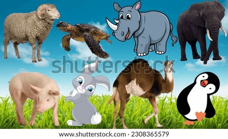 domestic animals : sheep, cow, elephant, bear, deer, camel, pig