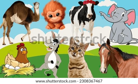 domestic animals : horse, dog, cat, hen, cow, monkey, pig, donkey, camel, frog, tiger, sheep