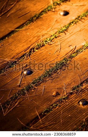 Detailed planks with moss growing between and metal rivets in wood