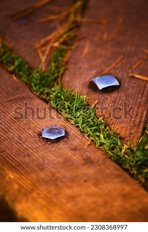 Metal rivets in brown wood plants with moss growing between the slats