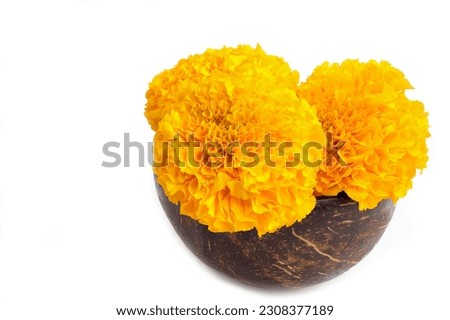 Close-up of Beautiful yellow marigold flowers in wooden bowl on white background