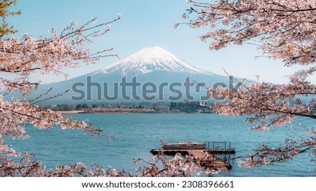 Mount Fuji with cherry blossom at Lake kawaguchiko in japan Royalty-Free Stock Photo #2308396661