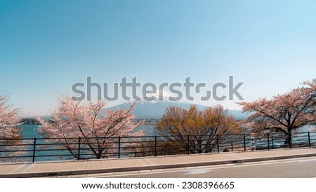 Mount Fuji with cherry blossom at Lake kawaguchiko in japan Royalty-Free Stock Photo #2308396665