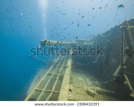 Shoal of Small Fish over the Sunken Ship near Sestrunj Island, Croatia Royalty-Free Stock Photo #2308432391