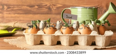 Green sunflower seedlings in eggshells on wooden background Royalty-Free Stock Photo #2308433899