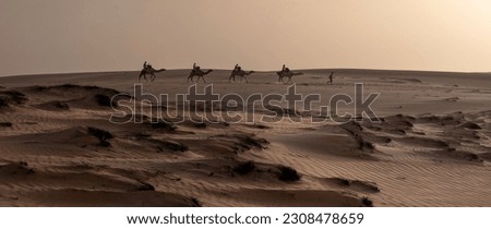 Camel rides, campfires, Orange sand dunes at Lompoul desert, near Saint Louis, SENEGAL at sunset Royalty-Free Stock Photo #2308478659