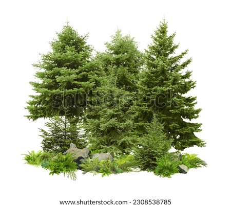 Different green trees and plants on white background Royalty-Free Stock Photo #2308538785