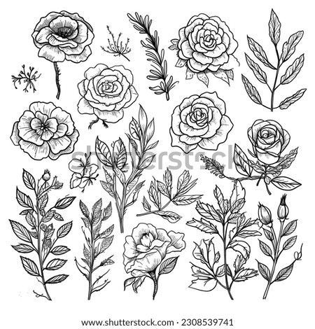 set of floral branch doodle