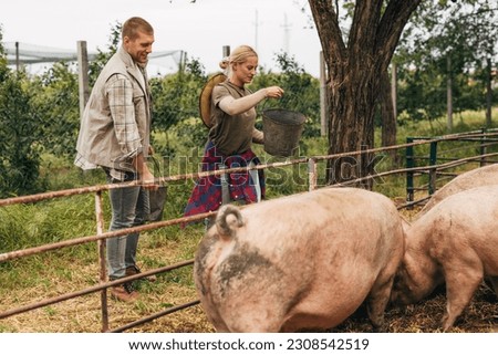 A woman and a man feeding pigs at their farm